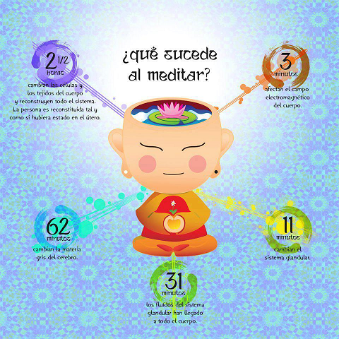 Cerebro y Meditacion