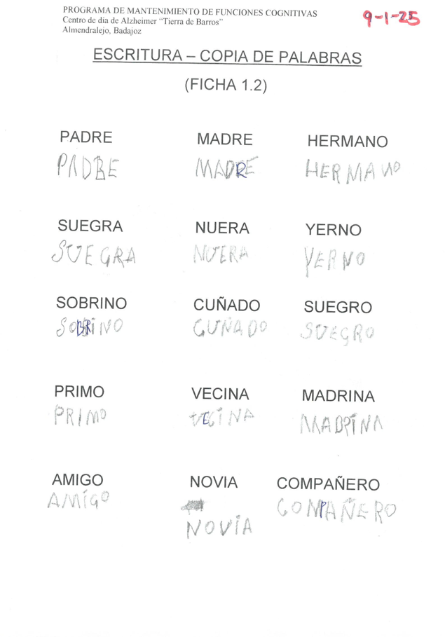 Captura de pantalla 2025 07 15 074504