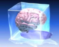 Cerebro en hielo