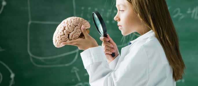 INvestigacion cerebro