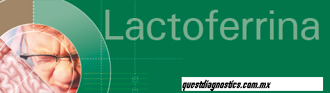 Lactoferrina