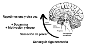 cerebro y culpa