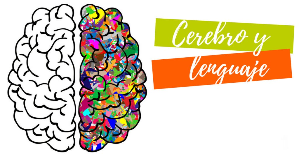 cerebro y lenguaje
