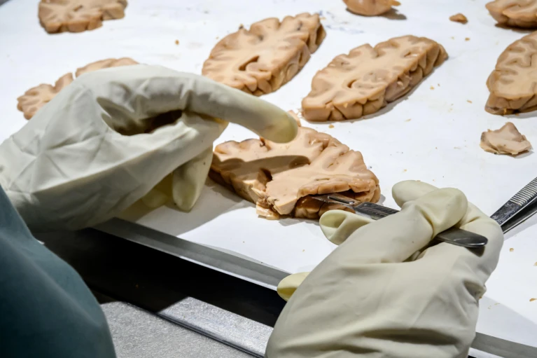 d42473 025 00017 w 50721436