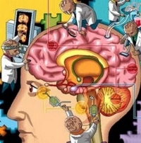 cEREBRO