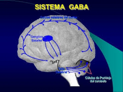 Sistema Gaba