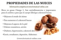 nueces