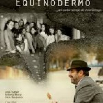 EQUINODERMO