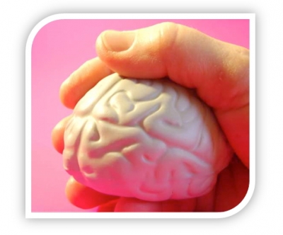 cerebro en la Mano