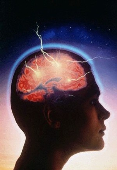 Cerebro 